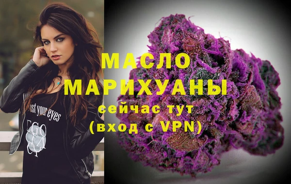 хмурый Арсеньев
