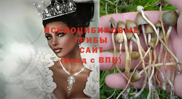 сатива Баксан