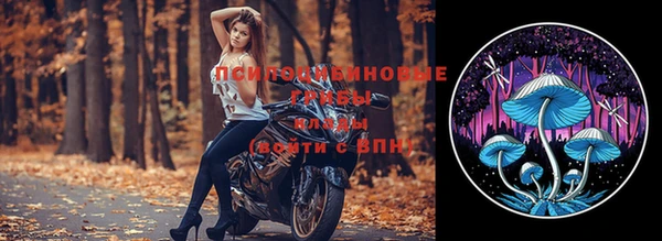 хмурый Арсеньев