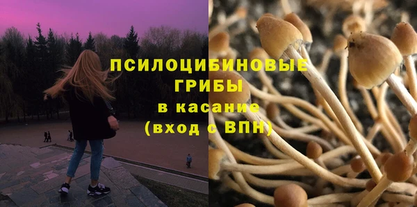 сатива Баксан