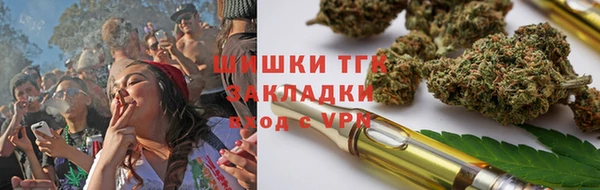 хмурый Арсеньев