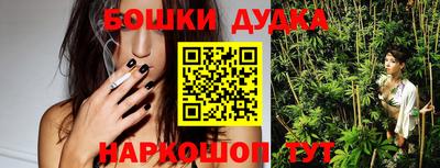 индика Пыть-Ях
