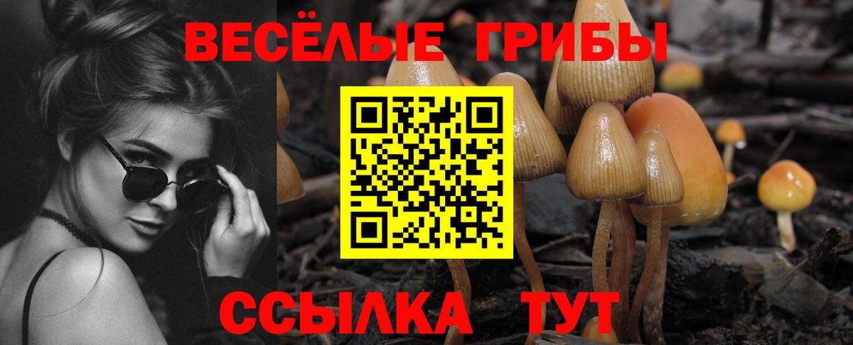 Урюпинск  Псилоцибиновые грибы мухоморы  продажа наркотиков  Вход с VPN 